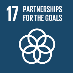 Goal 17 - Partnerships for the goals