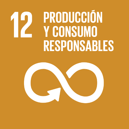 Objetivo 12 - Producción y Consumo Responsables