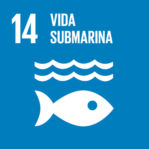 Objetivo 14 - Vida Submarina