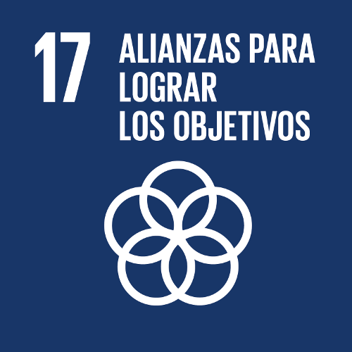 Objetivo 17 - Alianzas para Lograr los Objetivos