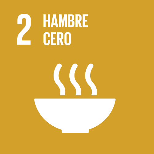 Objetivo 2 - Hambre Cero