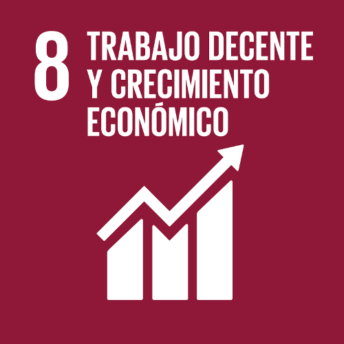 Objetivo 8 - Trabajo decente y crecimiento económico